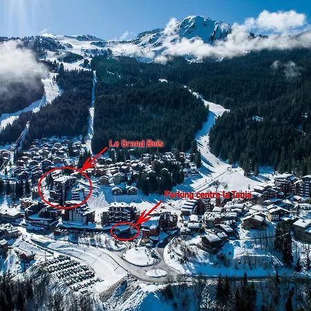 Confortable 2 Pieces, Skis Aux Pieds, Proche Commerces - Fr-1-182a-41 * クールシュヴェル